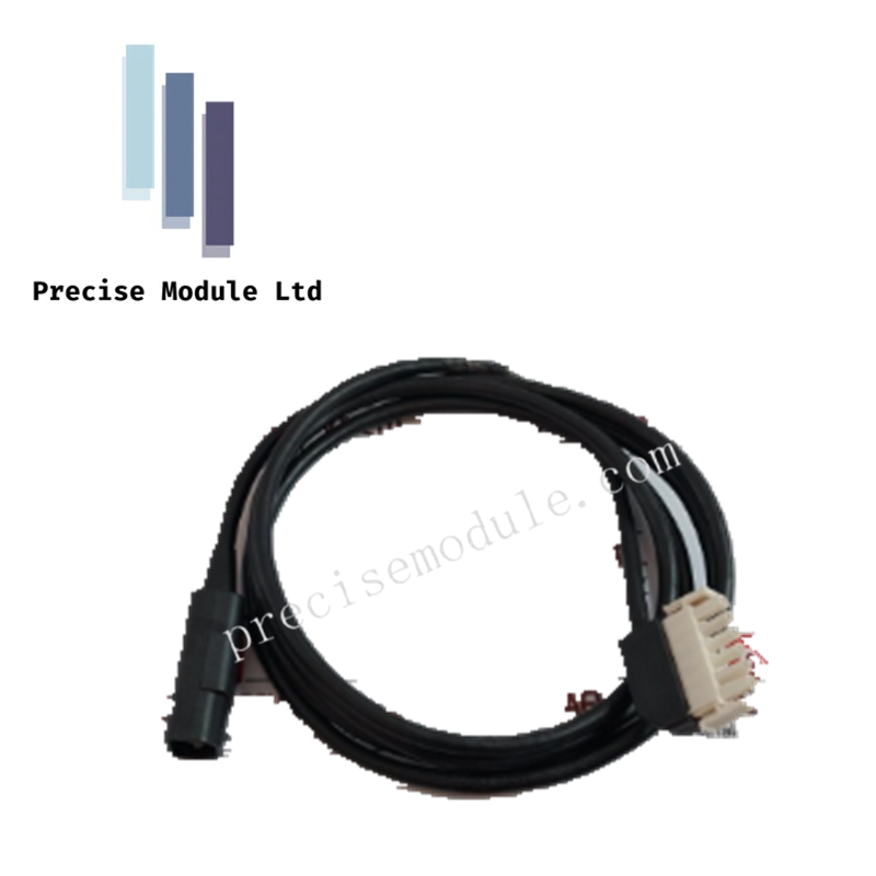 AD206HQ FOXBORO Rewireable Plug