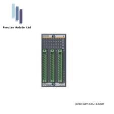 Bachmann AIO288 Analog Output Module Original Brand New