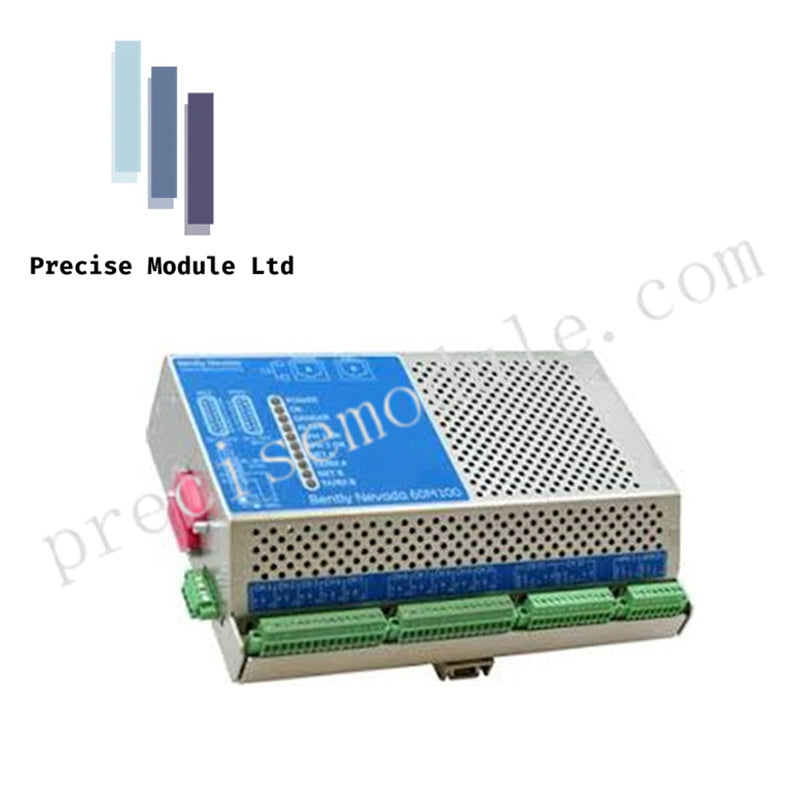 Bently Nevada 100A1000 | 100A1000/01 | High-Sensitivity Accelerometer