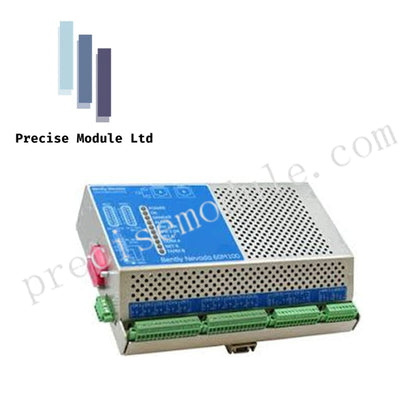 Bently Nevada 100A1000 | 100A1000/01 | High-Sensitivity Accelerometer