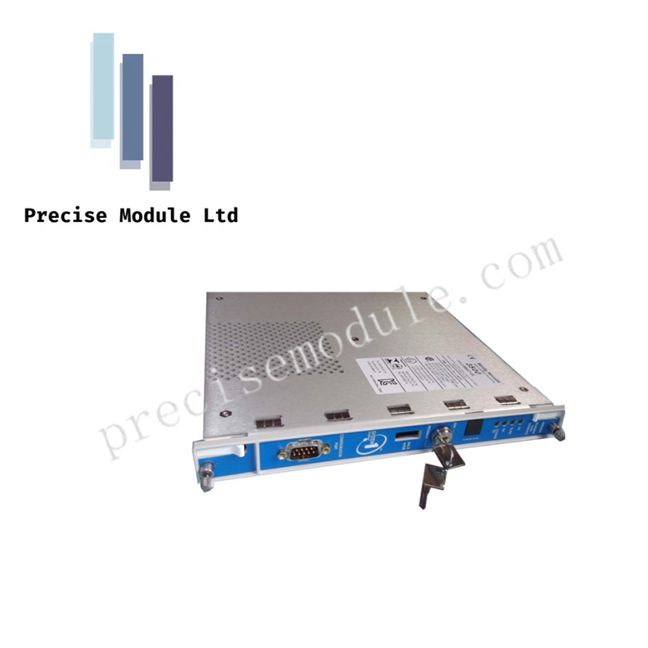 Bently Nevada 138607-01 Dual Transient Data Interface Module 3500 Series