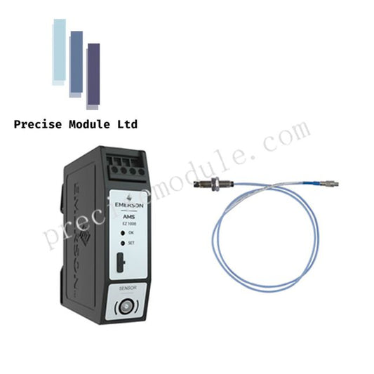 Emerson AMS EZ 1000 | Куйрук агымын өлчөө системасы | Валдын термелүүсү
