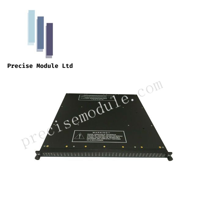Schneider Electric Triconex 3625 Digital Output Module Supervised TMR